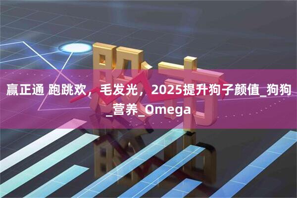 赢正通 跑跳欢,毛发光,2025提升狗子颜值_狗狗_营养_Omega